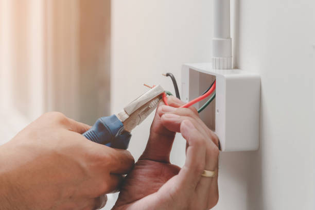 Best Electrical Panel Upgrades  in Morton, PA